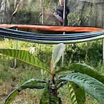 דירה Yuccasa - Small Glamping & Studio's פומבל
