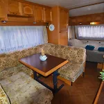 Yuccasa - Small Glamping Camping&studio's Pombal (Leiria)