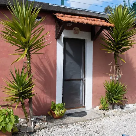 Yuccasa - Small Glamping & Studio's بومبال