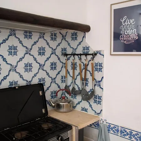 Yuccasa - Small Glamping & Studio's