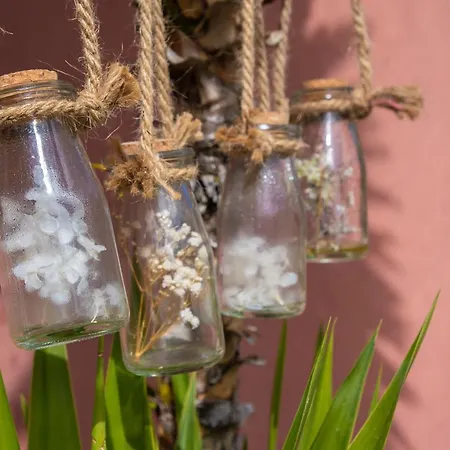 Apartment Yuccasa - Small Glamping & Studio's Pombal (Leiria)