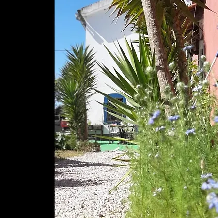 Yuccasa - Small Glamping & Studio's Apartament