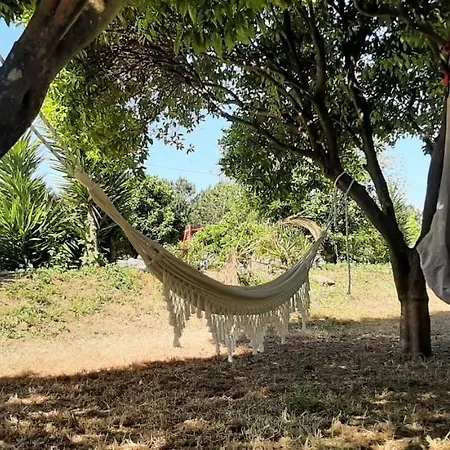 Yuccasa - Small Glamping & Studio's * Pombal (Leiria)