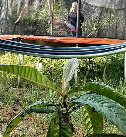 Apartamento Yuccasa - Small Glamping & Studio's Pombal (Leiria)