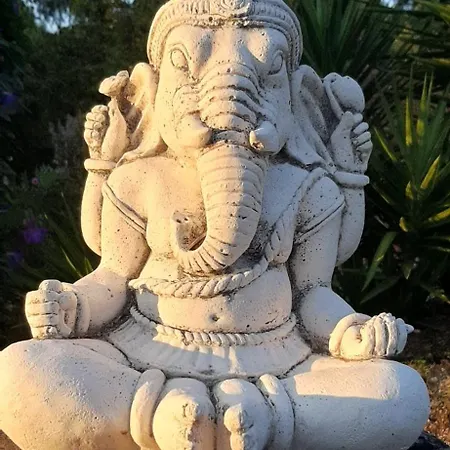 Appartement Yuccasa - Small Glamping & Studio's *