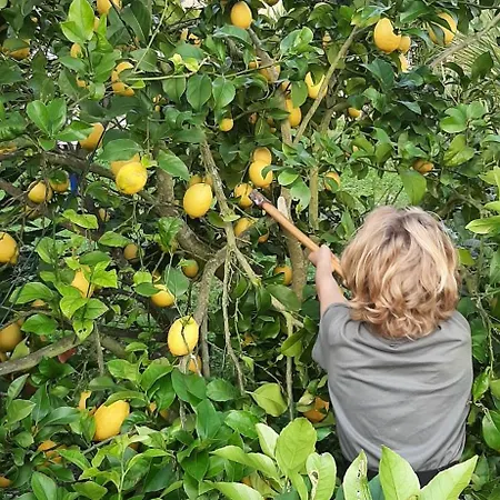 Yuccasa - Small Glamping & Studio's Apartamento Pombal (Leiria)