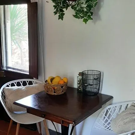 Yuccasa - Small Glamping & Studio's * Pombal (Leiria)