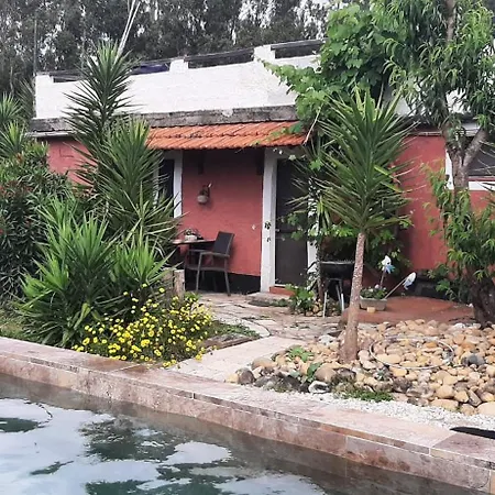 Yuccasa - Small Glamping & Studio's Apartamento *