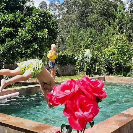 Yuccasa - Small Glamping & Studio's Pombal (Leiria)