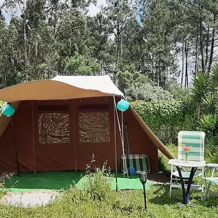 Apartment Yuccasa - Small Glamping & Studio's *