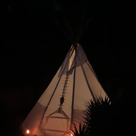 Yuccasa - Small Glamping & Studio's Pombal (Leiria)