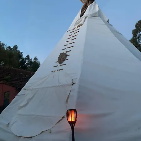 Yuccasa - Small Glamping & Studio's *