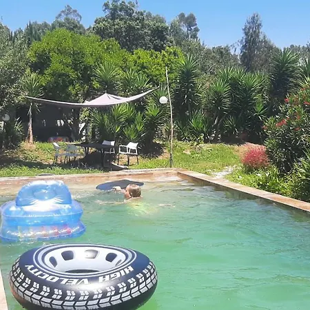 Yuccasa - Small Glamping & Studio's * Pombal (Leiria)