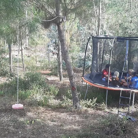 شقة Yuccasa - Small Glamping & Studio's