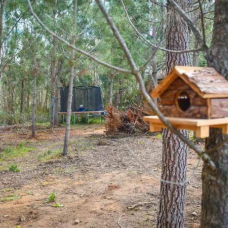 Yuccasa - Small Glamping & Studio's