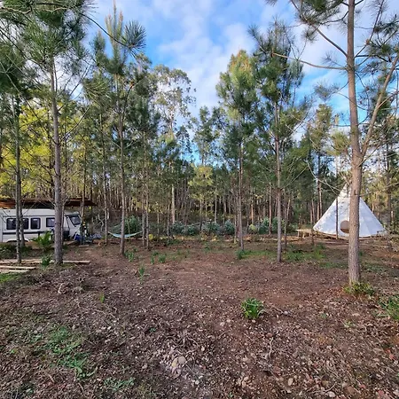 Yuccasa - Small Glamping & Studio's * Pombal (Leiria)