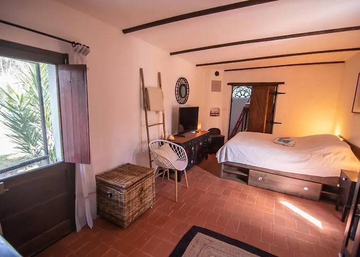 Yuccasa - Small Glamping & Studio's *