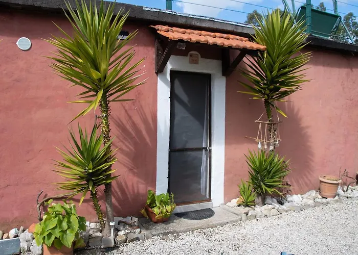 Yuccasa - Small Glamping & Studio's بومبال