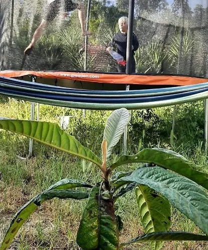 Apartamento Yuccasa - Small Glamping & Studio's Pombal (Leiria)