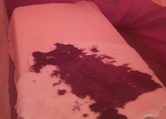 Yuccasa - Small Glamping & Studio's Pombal (Leiria)