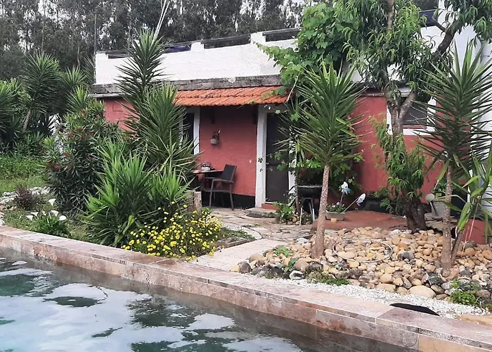 Yuccasa - Small Glamping & Studio's Apartamento *