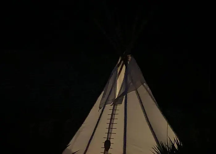 Yuccasa - Small Glamping & Studio's *