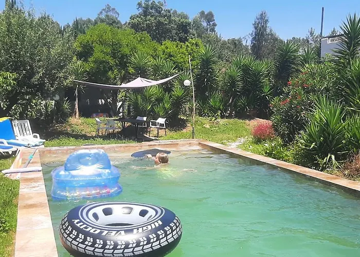 Yuccasa - Small Glamping & Studio's * Pombal (Leiria)