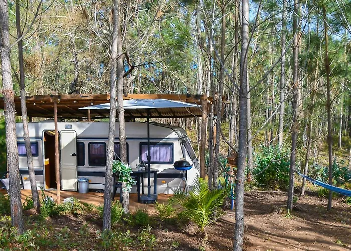 Apartamento Yuccasa - Small Glamping & Studio's Pombal (Leiria)